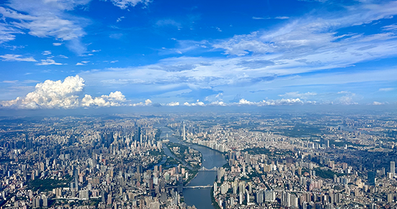 域名IP查询系统免费版