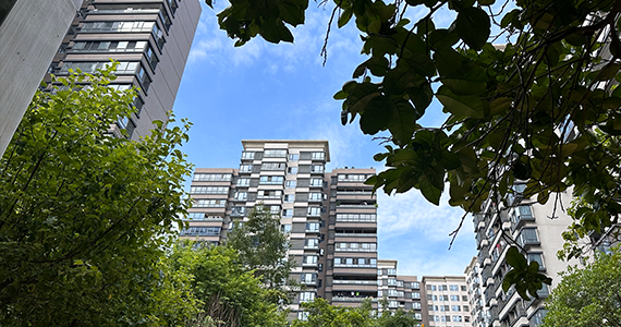 域名大全免费查询官网