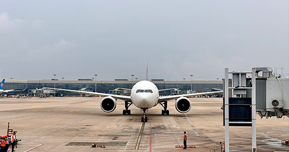 通过免费网盘查询域名