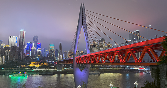 免费域名申请：开启你的网络之旅