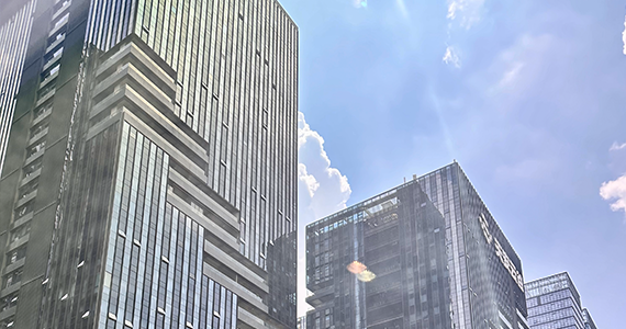 免费cn顶级域名：探索互联网的新机遇